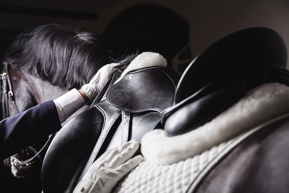 Dressage to Kill